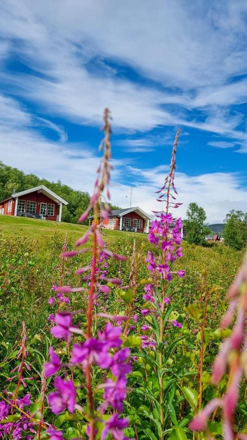 Levajok Lodge Tana Dış mekan fotoğraf