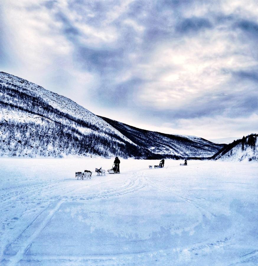 Levajok Lodge Tana Dış mekan fotoğraf